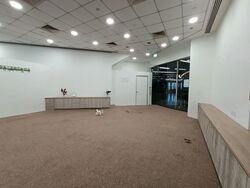 51 Cuppage Road (D9), Retail #589175251